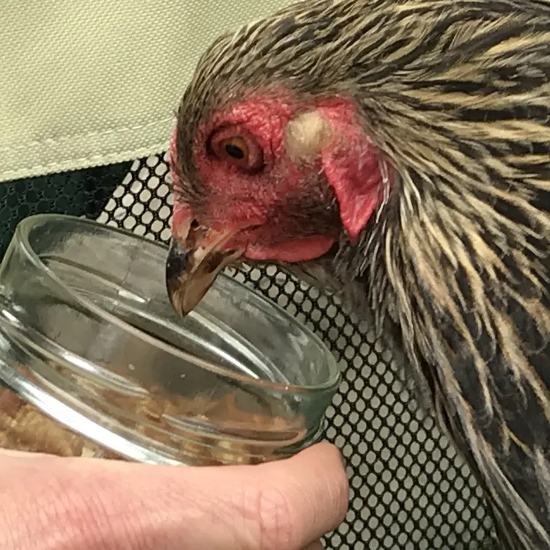 20210508_141249396_iOS